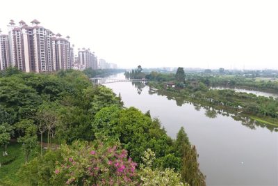 请您投票——顺德区十大最美河涌评选_顺德城市网